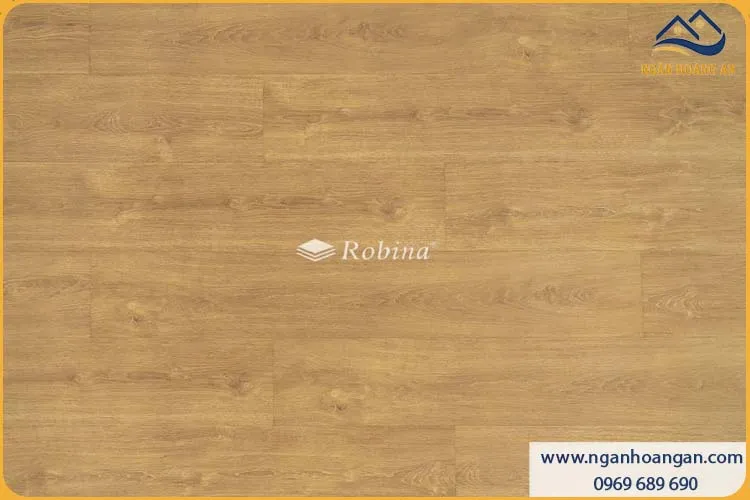 Sàn Gỗ Công Nghiệp Malaysia Robina Aqua AQO134 8mm