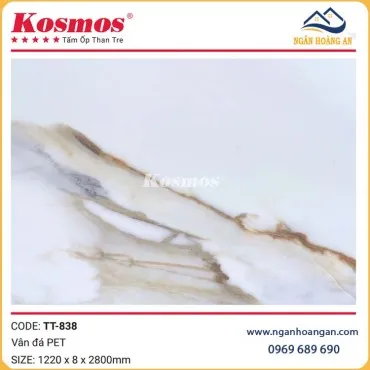 Tấm Than Tre Ốp Tường Vân Đá PET Kosmos TT-838