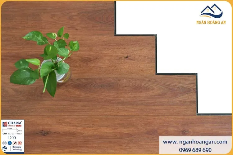 Sàn Gỗ Công Nghiệp Charmwood D55 Dày 12mm