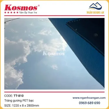 Tấm Ốp Than Tre Kosmos TT-810 Tráng Gương PET Bạc 