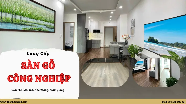 Cung Cấp Sàn Gỗ Công Nghiệp Giao Về Cần Thơ, Sóc Trăng, Hậu Giang