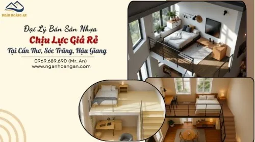 Đại Lý Bán Sàn Nhựa Chịu Lực Giá Rẻ Tại Cần Thơ, Sóc Trăng, Hậu Giang