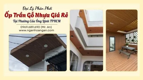 Đại Lý Phân Phối Ốp Trần Gỗ Nhựa Giá Rẻ Tại Phường Cầu Ông Lãnh TPHCM