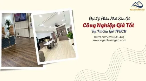 Đại Lý Phân Phối Sàn Gỗ Công Nghiệp Giá Tốt Tại Xã Cần Giờ TPHCM