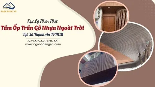 Đại Lý Phân Phối Tấm Ốp Trần Gỗ Nhựa Ngoài Trời Tại Xã Thạnh An TPHCM