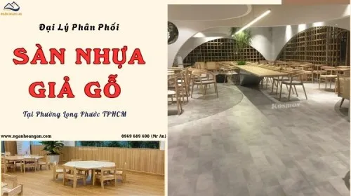 Đại Lý Phân Phối Và Thi Công Sàn Nhựa Tại Phường Long Phước TPHCM