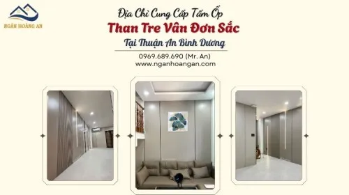 Địa Chỉ Cung Cấp Tấm Ốp Than Tre Vân Đơn Sắc Tại Thuận An Bình Dương