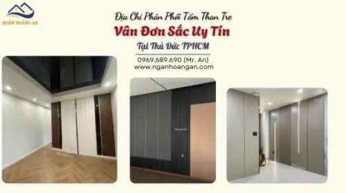 Địa Chỉ Phân Phối Tấm Than Tre Vân Đơn Sắc Uy Tín Tại Thủ Đức TPHCM