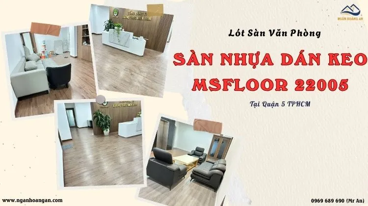 Lót Sàn Văn Phòng Bằng Sàn Nhựa Dán Keo MsFloor 22005 Tại Quận 5 TPHCM