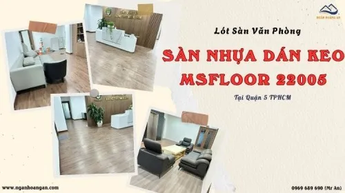 Lót Sàn Văn Phòng Bằng Sàn Nhựa Dán Keo MsFloor 22005 Tại Quận 5 TPHCM