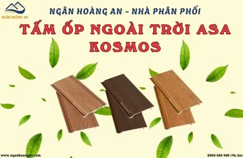 Ngân Hoàng An - Nhà Phân Phối Tấm Ốp Ngoài Trời ASA Kosmos Tại TPHCM