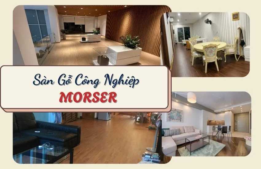 Sàn Gỗ Công Nghiệp Giá Rẻ Việt Nam Morser