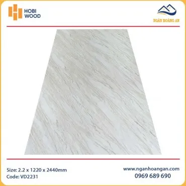 Tấm Nhựa PVC Giả Vân Đá Ốp Tường Hobiwood VD2231