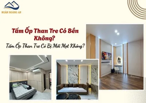 Tấm Ốp Than Tre Có Bền Không? Tấm Ốp Than Tre Có Bị Mối Mọt Không?