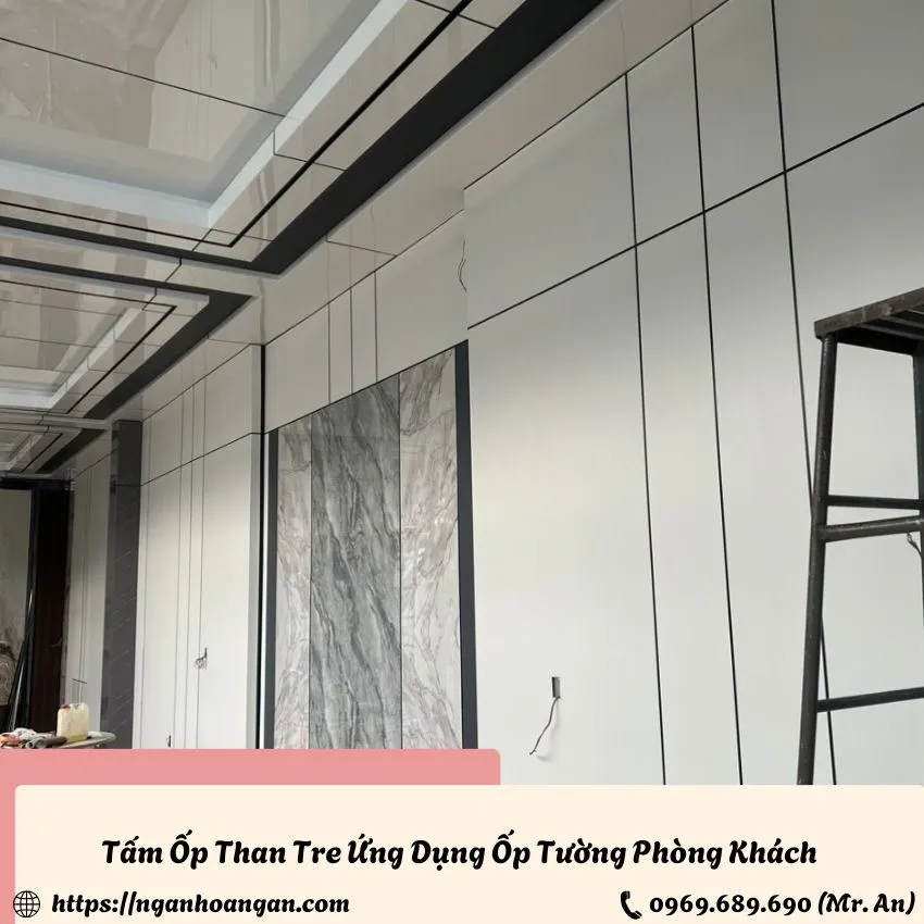 Tấm Ốp Than Tre Ứng Dụng Trang Trí Phòng Khách