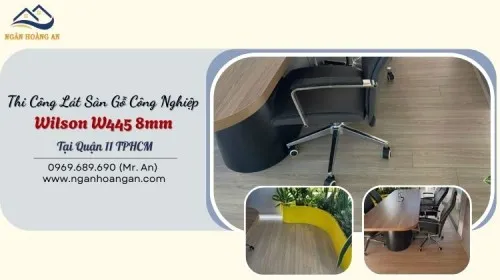 Thi Công Lát Sàn Gỗ Công Nghiệp Wilson W445 8mm Tại Quận 11 TPHCM