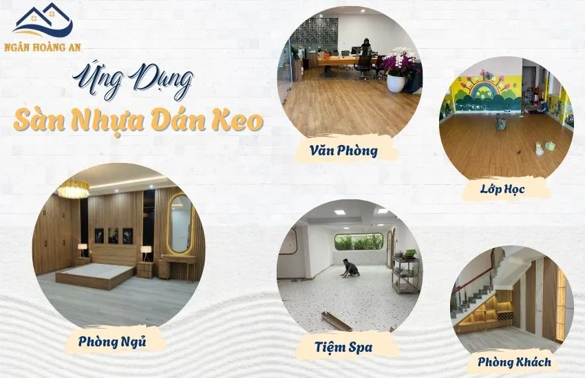 Ứng Dụng Của Sàn Nhựa Dán Keo MSFloor
