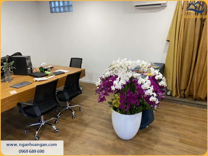Sàn Văn Phòng Được Lót Sàn Nhựa Giả Gỗ Chịu Lực Tốt