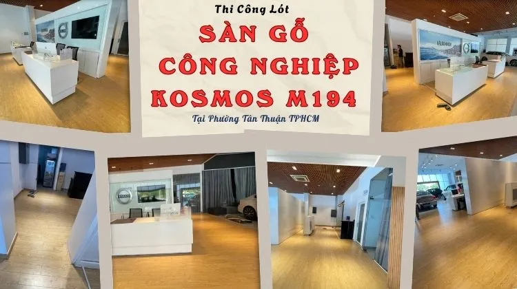 Lót Sàn Gỗ Công Nghiệp Kosmos M194 Giá Rẻ Tại Phường Tân Thuận TPHCM