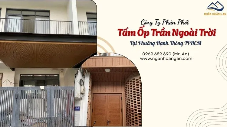 Công Ty Phân Phối Tấm Ốp Trần Ngoài Trời Tại Phường Hạnh Thông TPHCM