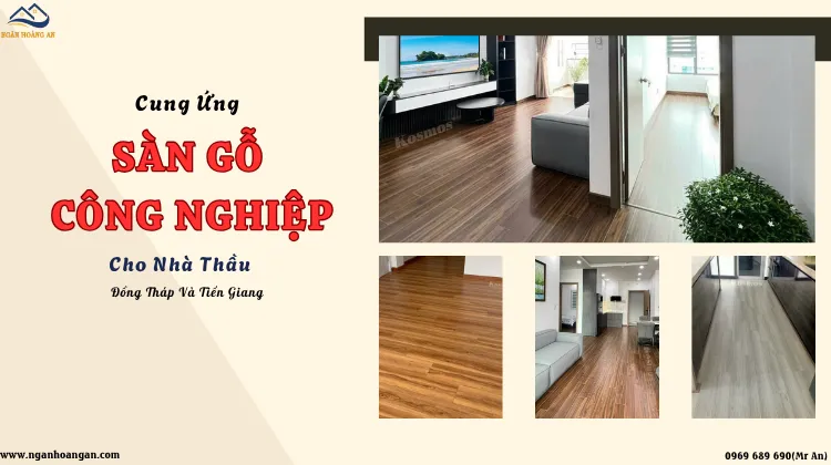 Cung Ứng Sàn Gỗ Công Nghiệp Cho Nhà Thầu Đồng Tháp Và Tiền Giang Cung Ứng Sàn Gỗ Công Nghiệp Cho Nhà Thầu Đồng Tháp Và Tiền Giang