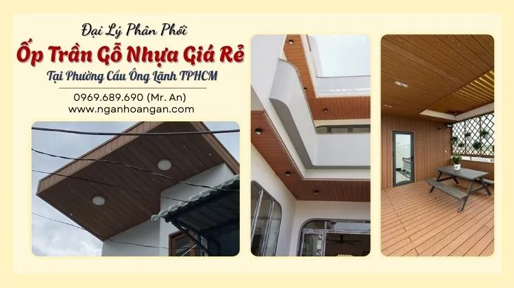 Đại Lý Phân Phối Ốp Trần Gỗ Nhựa Giá Rẻ Tại Phường Cầu Ông Lãnh TPHCM Đại Lý Phân Phối Ốp Trần Gỗ Nhựa Giá Rẻ Tại Phường Cầu Ông Lãnh TPHCM