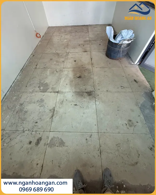Dịch Vụ Thi Công Sàn Nhựa Dán Keo THFloor 22007 Trọn Gói