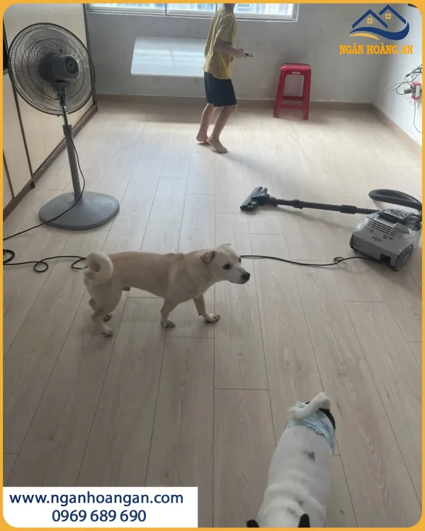 Hoàn Thiện Lát Sàn Gỗ Egger EL2240 Cho Nhà Ở Chất Lượng