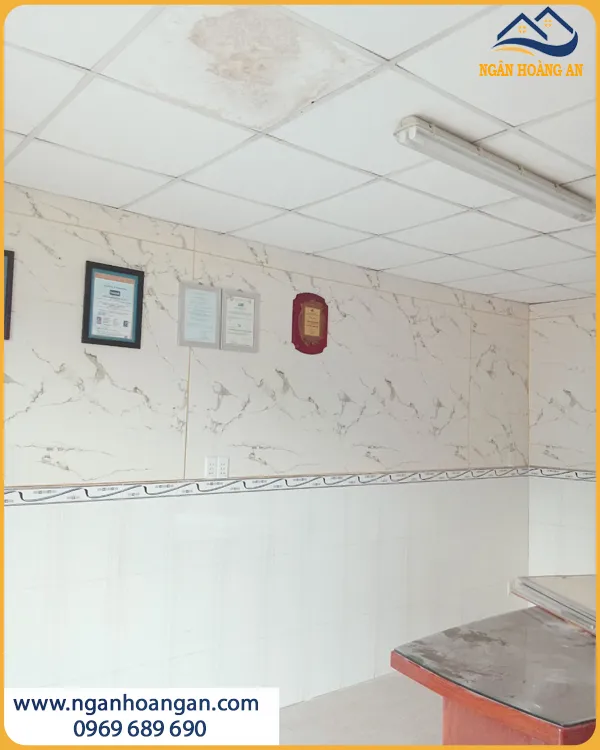 Ốp PVC Giả Đá Cho Văn Phòng Dễ Vệ Sinh