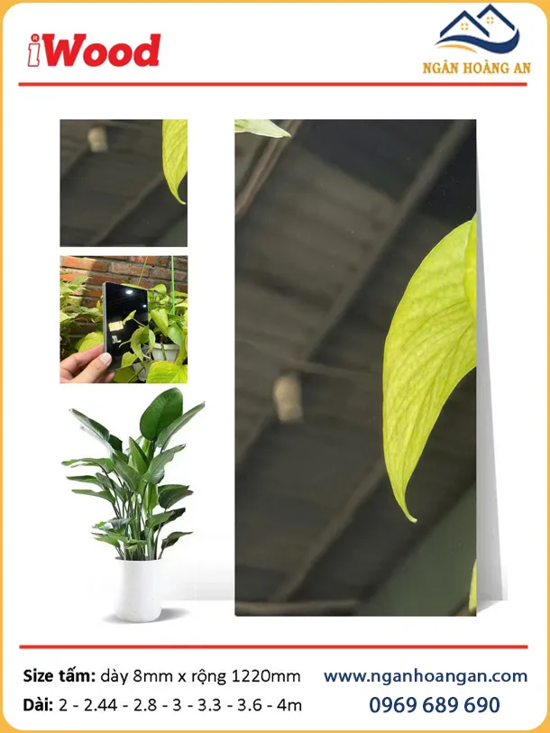 Tấm Ốp Than Tre 8mm iWood Màu Gương Bạc