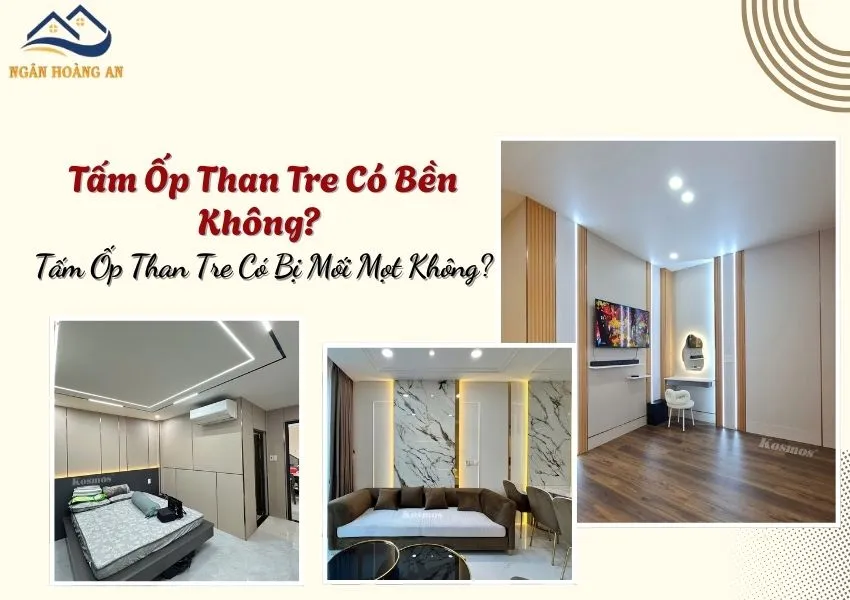 Tấm Ốp Than Tre Có Bền Không? Tấm Ốp Than Tre Có Bị Mối Mọt Không?