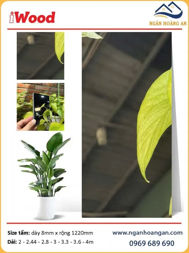 Tấm Than Tre Ốp Tường iWood Film Tráng Gương Bạc