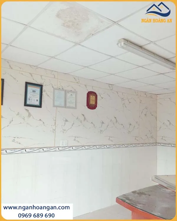 Ốp Tường Tấm PVC Giả Đá Kosmos Thi Công Nhanh, Có Độ Bền Cao